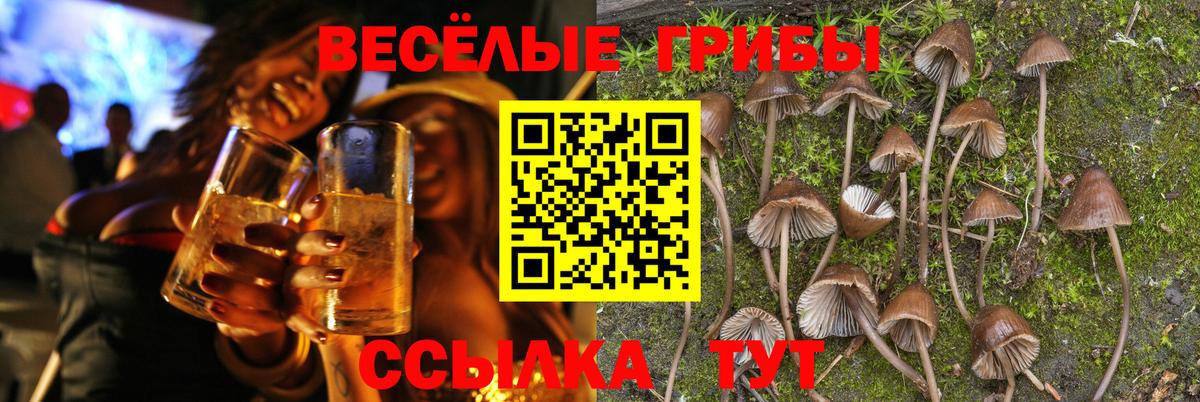 Михайловка  МАРИХУАНА  ЭКСТАЗИ  ГАШ  Вход с VPN  Cocaine  Меф МЯУ МЯУ  