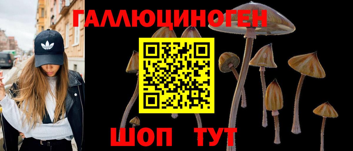 Псилоцибиновые грибы Cubensis  Вход с VPN  Михайловка 